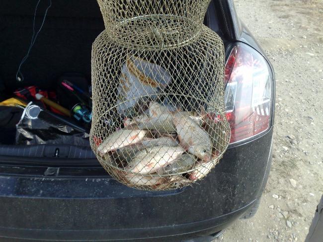 balta colacu - 984991.jpg